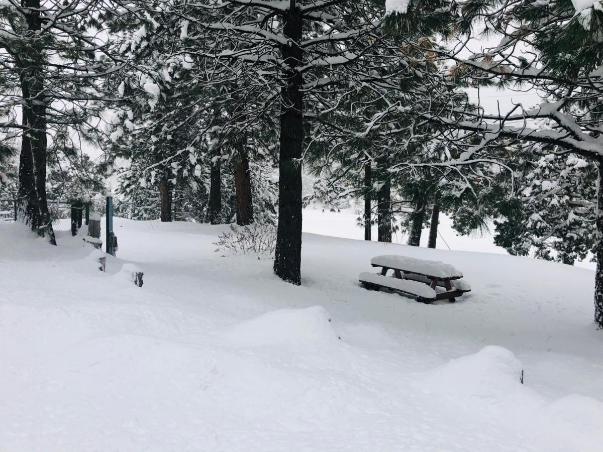 Mountain View Cabins Wrightwood Εξωτερικό φωτογραφία